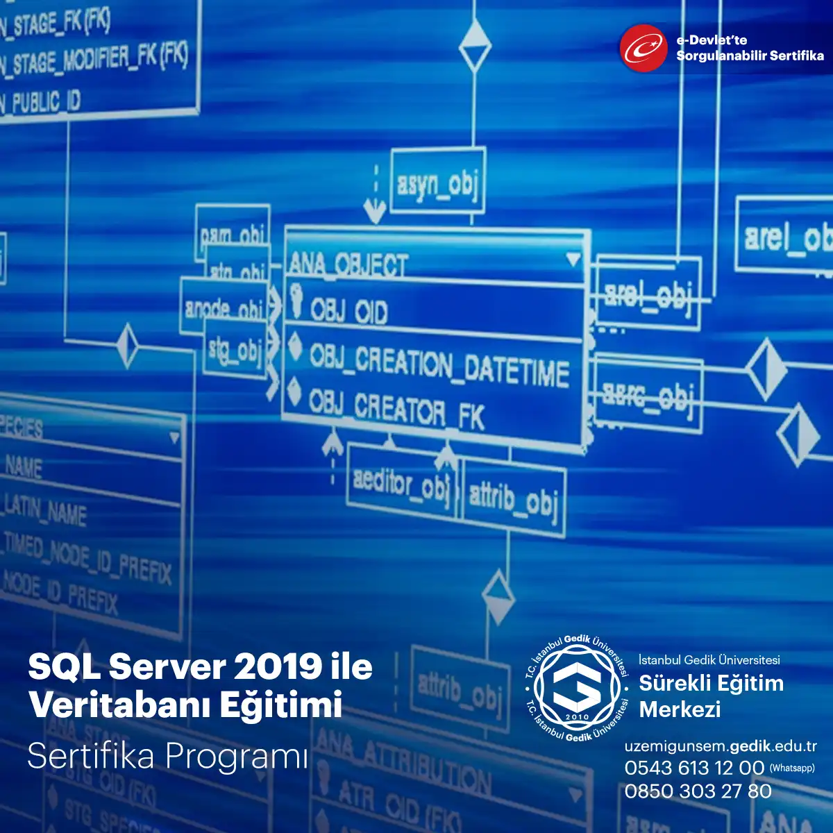 SQL Server 2019 ile Veritabanı Eğitimi 